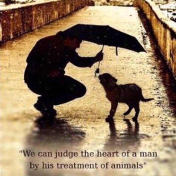 Meet your Posher, Marina - Picture 2 of 4